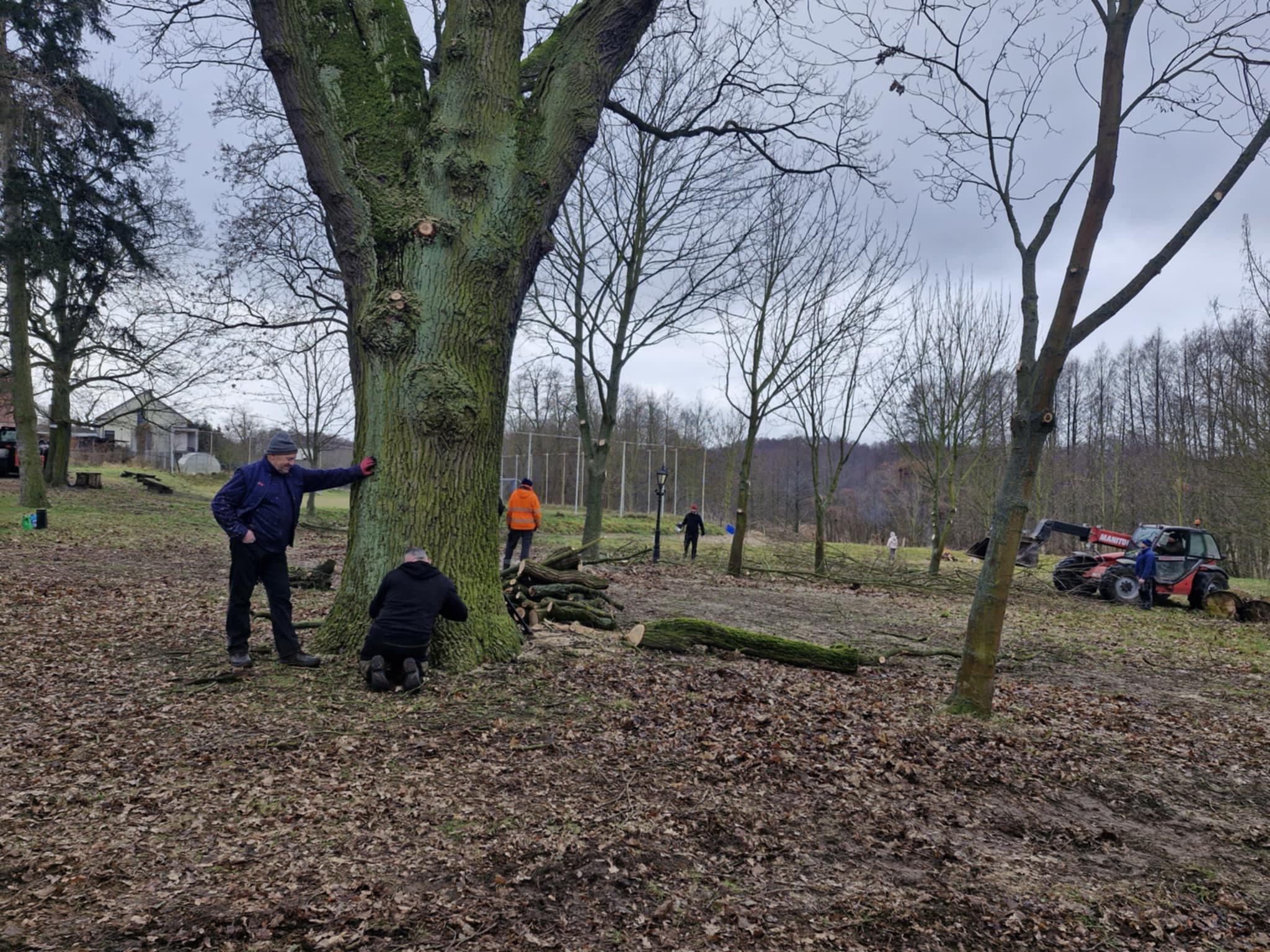 Miniaturka artykułu